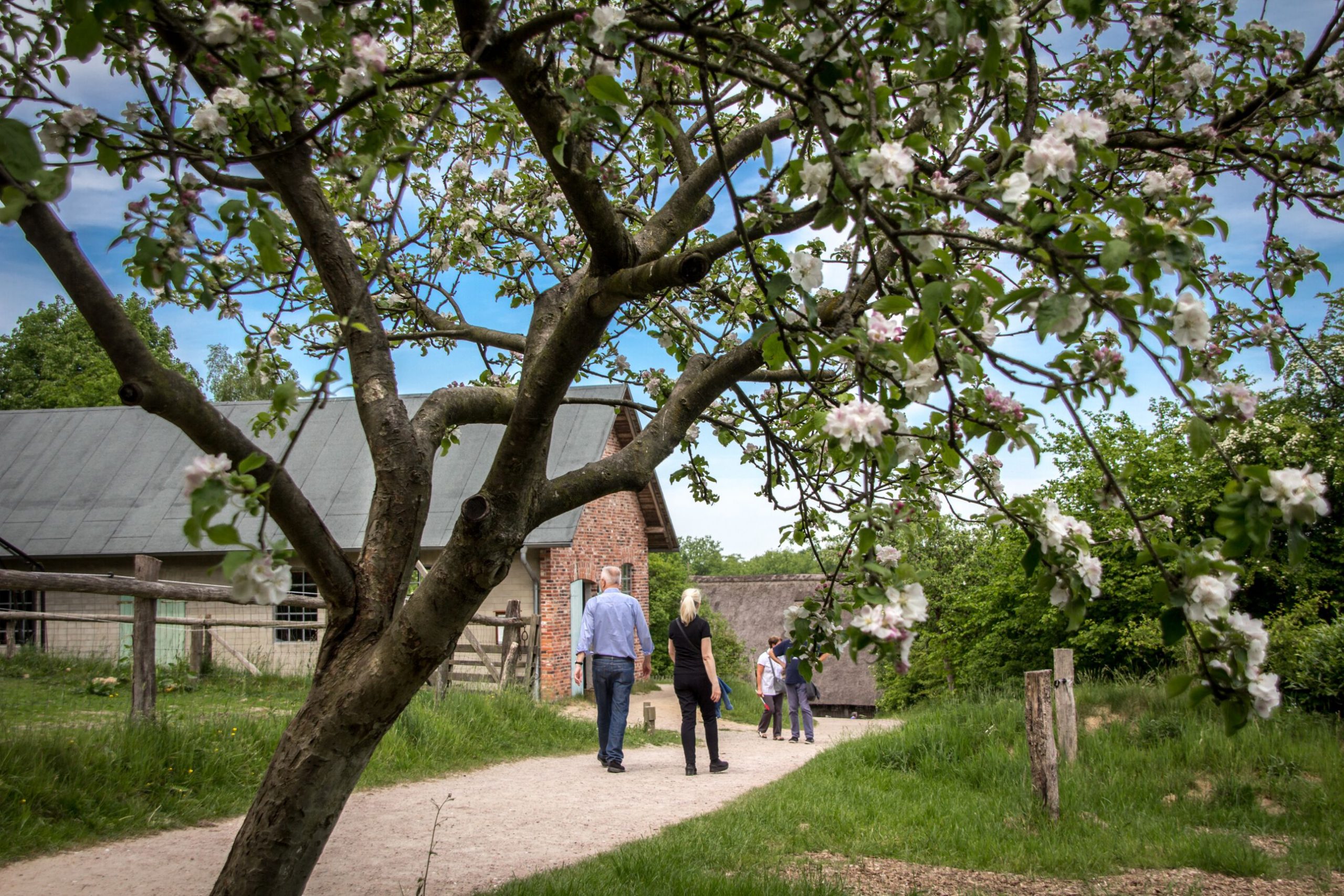 FLMK -Spaziergang durch das frühlingshafte Freilichtmuseum am Kiekeberg