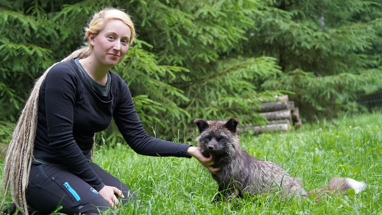 Wildpark Schwarze Berge -Fuchs Mogli lässt sich auch schon mal kraulen