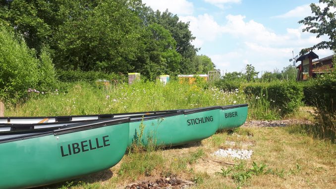 Die drei Kanus Libelle Stichling und Biber stehen ab sofort wieder zur Verfügung um beim Paddeln in Wilhelmsburger Gewässer Müll zu sammeln Foto: BUND HH