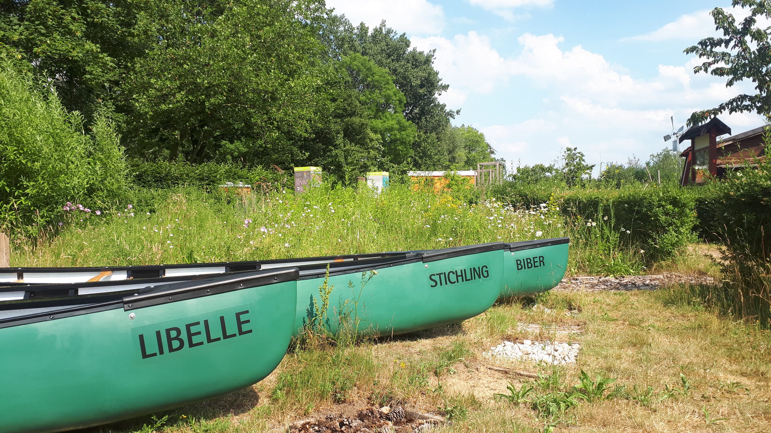 Die drei Kanus Libelle Stichling und Biber stehen ab sofort wieder zur Verfügung um beim Paddeln in Wilhelmsburger Gewässer Müll zu sammeln Foto: BUND HH