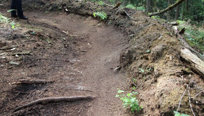 Niedersächsische Landesforsten -Es werden im Wald teilweise massive Erdbewegungen vorgenommen um Kurvenerhöhungen oder Sprünge anzulegen. Die Trails bergen die große Gefahr dass sich bei Regen Erosionsrinnen bilden. Die Wurzeln der umliegenden Bäume werden nachhaltig beschädigt.