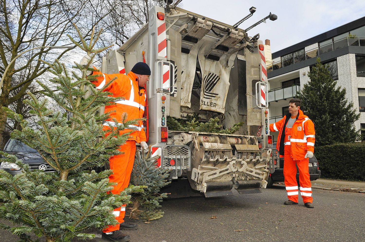 Die Stadtreinigung Hamburg sammelt auch in diesem Jahr wieder ausgediente Weihnachtsbäume ein Foto: SRH