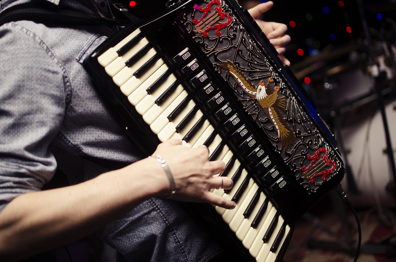 Beim Gemeinschaftskonzert des Deutsche Harmonika-Verband -Landesverband Hamburg e. V steht das Akkordeon im Vordergrund (Symbolbild) Foto: adaoaalves/pixabay