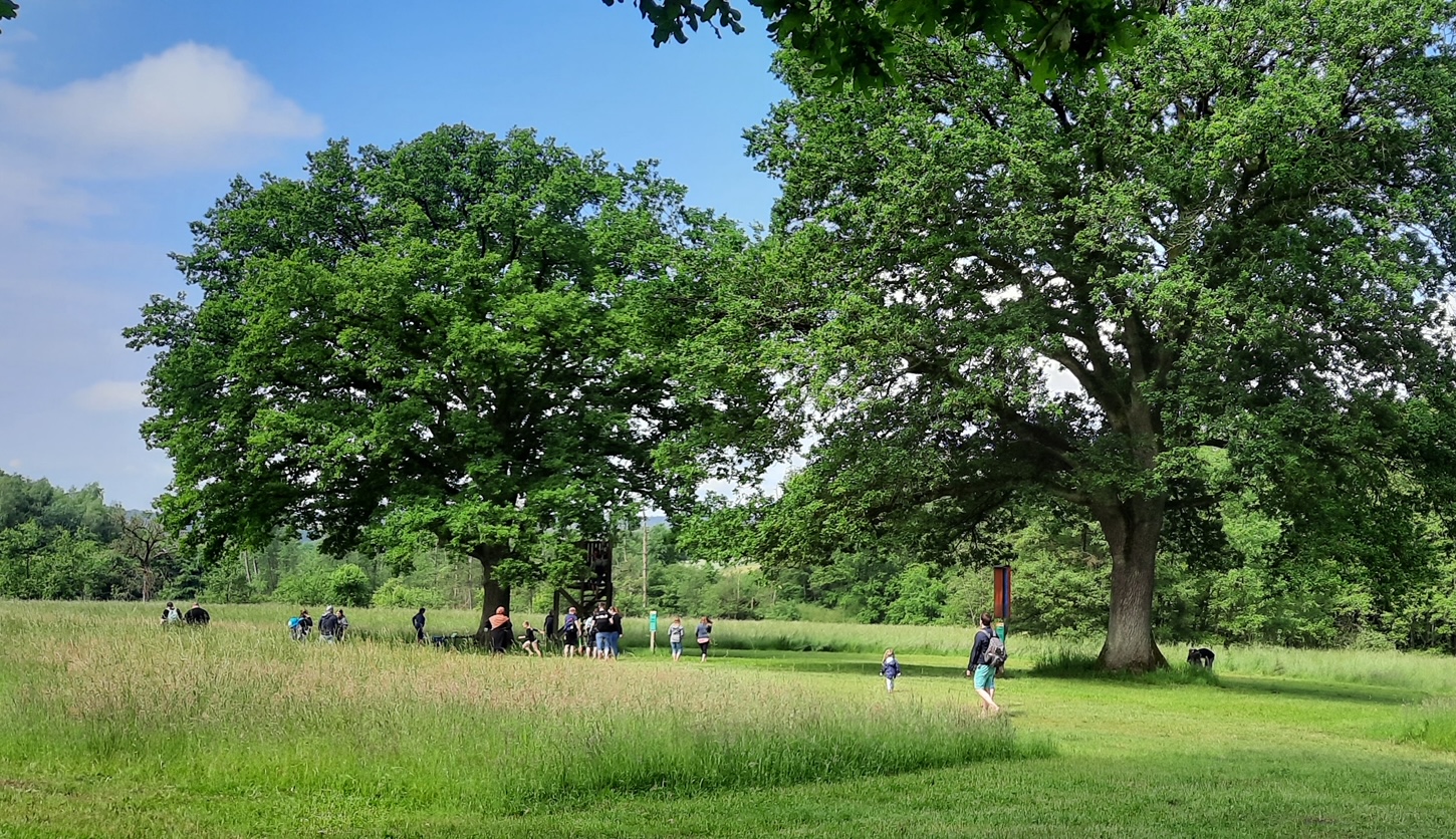 Barfußpark -Zur Sommersonnenwende am 21. Juni nimmt der etwas andere Freizeitpark an der deutschlandweiten Aktion „Deutschland geht WaldbadenÒ teil und startet damit seine eigene Reihe an „Kleinen WaldauszeitenÒ